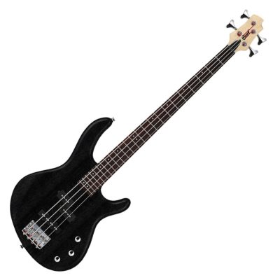 CORT Action PJ OPB