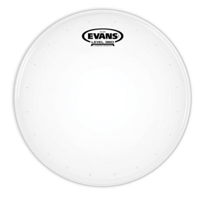 EVANS B14HDD Genera HD Dry 14" Coated Snare