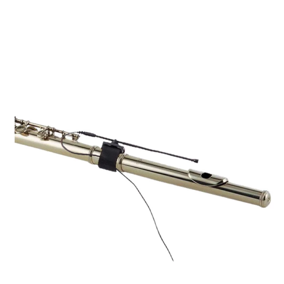 Microfono per Flauto e Clarinetto PA MFT audio Design Pro