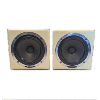 Avantone MixCubes Active Cream (COPPIA)
