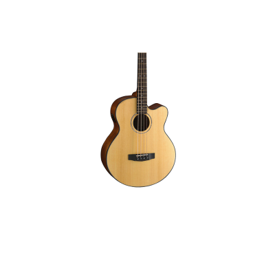 AB850F w/BAG - NAT